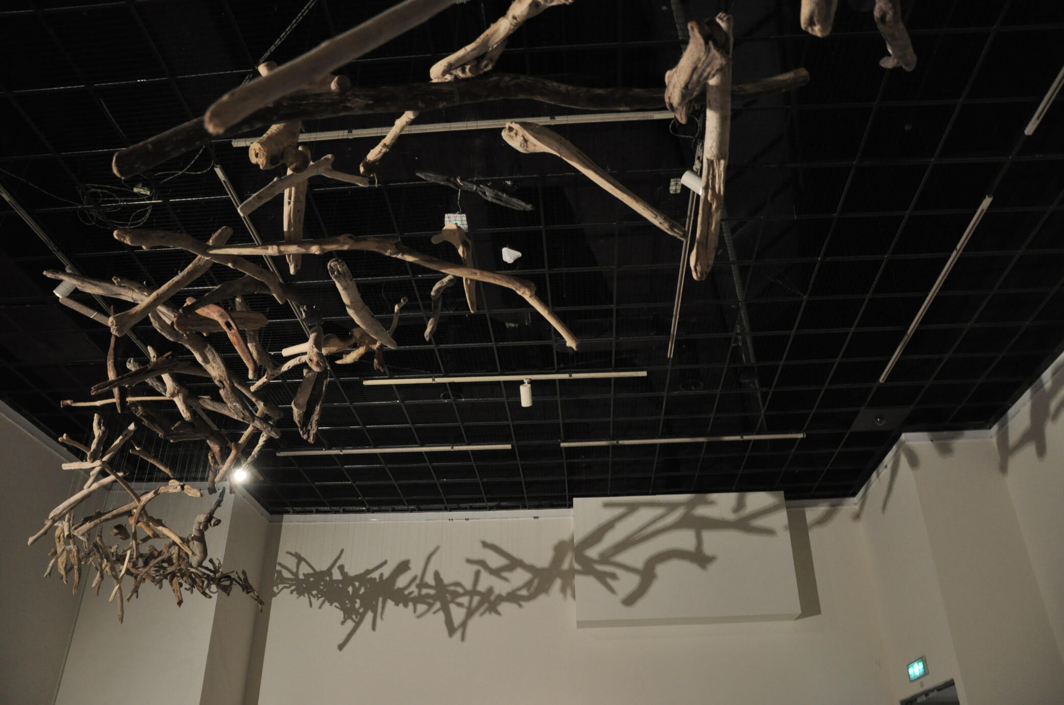 6.我希望觀者在裝置與畫面之間，思考破壞與重生的關係。