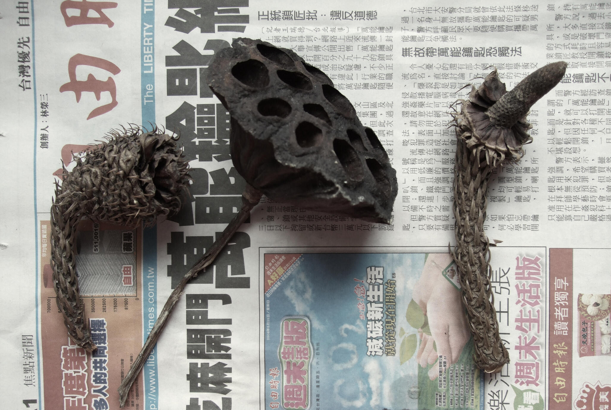 1.「變遷」指向環境的改變，「共生」則提醒我們與自然的倫理位置。